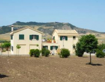 colleigino