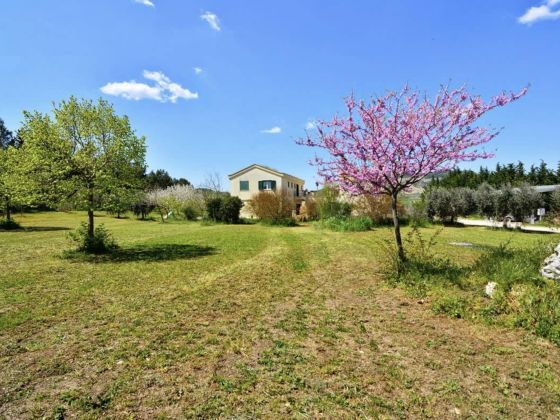 Colleigino - foto 1