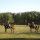 preview image11 esterno