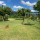 preview image4 esterno