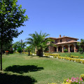 Sanguineto