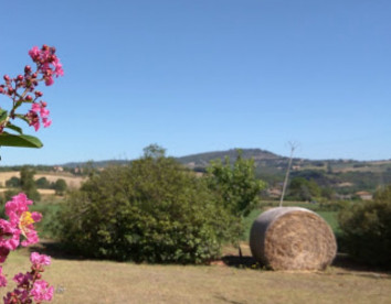 La Locanda Dell' Olmo