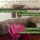 preview image19 interni
