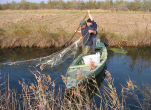 image23 La Barena