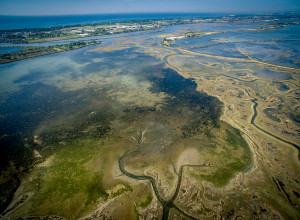 image2 La Barena