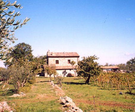 Farm-house La Chiusetta - Orvieto