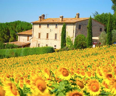 Ferienbauernhof Casale Dei Frontini - Todi