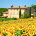 Casale Dei Frontini