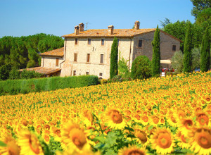 Casale dei Frontini - Lernbauernhöfe