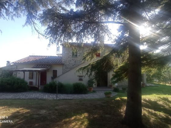 Casal Dell' Angeli - foto 4
