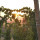 preview image5 parco