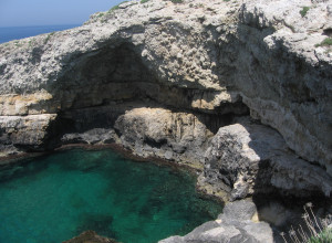 image17 Serine