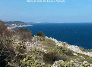 image20 Serine