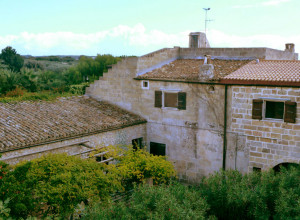 image9 Serine
