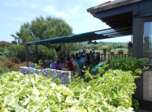 image19 Serine