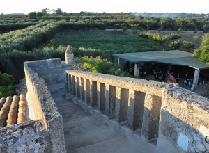 image14 Serine
