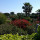 preview image15 giardino
