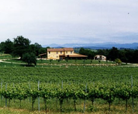 Casa Vacanze In Campagna Piana Delle Selve - Amelia