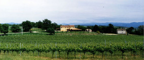 Piana Delle Selve