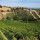 preview image7 dintorni