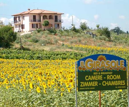 Bed And Breakfast Il Girasole - Montepulciano