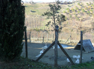 image1 Alla Solagna