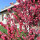 preview image6 esterno