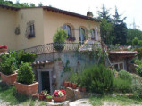 Pino Del Capitano