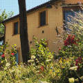 Il Posto Delle Viole