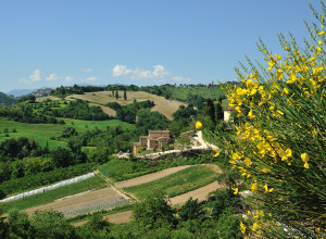 image1 Ca' Vernaccia