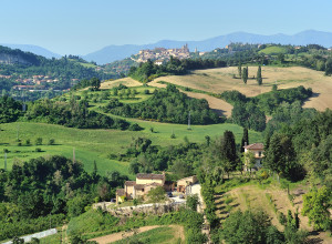 image9 Ca' Vernaccia