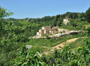 image14 Ca' Vernaccia