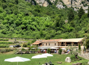 image9 Maso Naranch