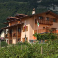 Le Pergole