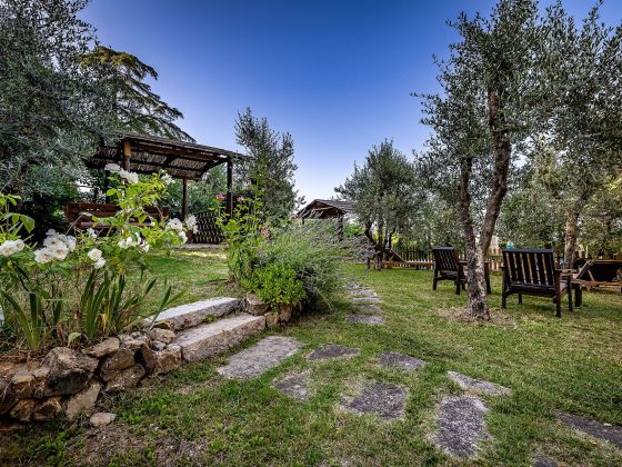 Cesani - foto 10