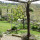 preview image7 esterno