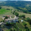 Vecchia Quercia