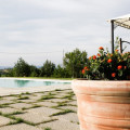 Belvedere
