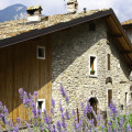 Calvola