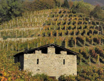 cantina sesterzio