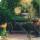 preview image6 esterno