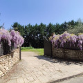 Le Macine