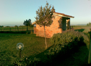 image2 Beveraggio
