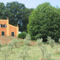 La Gismonda