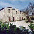 Barberani