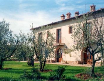 Antico Uliveto - Toscana