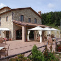 Olivastrella