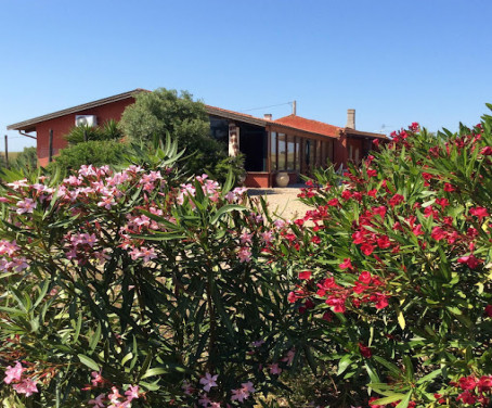 Farm-house Il Germoglio - Sassari