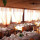 preview image4 ristorante