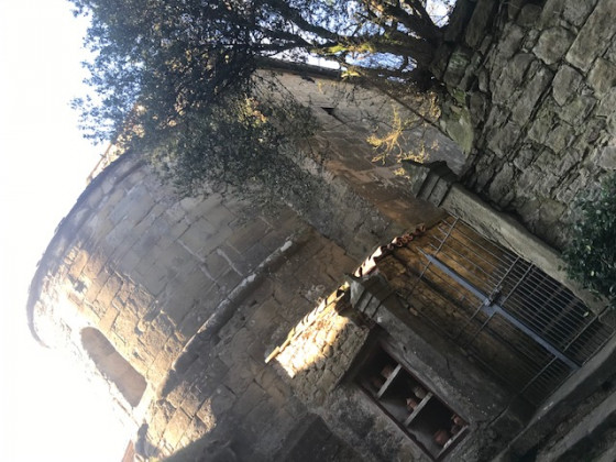 la terrazza sul macchietto foto esterno 34